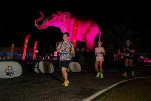 BIB: 
                            <button type="button" onclick="openModal(26534289)" class="btn btn-primary btn-sm float-right btn-popup" data-toggle="modal" data-target=".modal-high-quality">
                        <i class="fas fa-shopping-cart"></i> Add to Cart
                    </button>
                                            <button type="button" onclick="isThisMe(26534289, true)" class="btn btn-success btn-sm float-right btn-popup btn-isme hidden" data-toggle="tooltip" data-placement="bottom" title="นี่คือรูปของคุณใช่ไหม คลิกที่นี่เพื่อเอาเข้าอัลบั้ม">
                        <i class="fas fa-plus"></i> Add to album
                    </button>
                    <button type="button" onclick="isThisMe(26534289, false)" class="btn btn-warning btn-sm float-right btn-popup btn-isnotme hidden">
                        <i class="fas fa-ban"></i> Remove from album
                    </button>